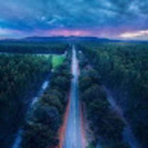 Meet your Posher, Harriet